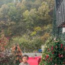 카페인 포레스트 본점 이미지