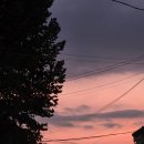 원신근린공원 (1) | 상대원동 근린공원 산책 후기 자연을 즐길 수 있는 완벽한 장소💛