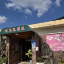 유구마곡사로 | 유구맛집 국가대표짬뽕! 인생 짬뽕 등극! 혜자 양+불맛 국물 = 기절 각!