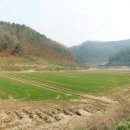 월계(회관)마을회관 이미지
