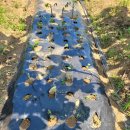 승현1농장 이미지