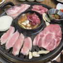 인생생고기