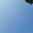 전국제일순대상모점