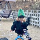 하모니빌라 | 강릉 키즈 풀빌라 보니블랑 :: 넓은 수영장 감성 독채 펜션