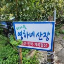 영하네민박 이미지