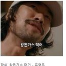[고양] 일산 돈까스 맛집, 일산 왕돈까스 ‘1982 성북동 왕돈까스’ 솔직후기