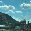 스테이 댕댕 이미지