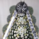 금성장례식장