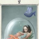 타로와의 치유 여행 이미지