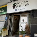 부산 남포동 생태계를 담은 테라리움 &#34;쏘슬로우플랜트랩&#34; 부산가드닝클래스