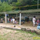 난향동-6 이미지