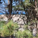 바닷가펜션 이미지