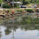 북동낚시터입구 이미지