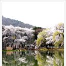 청평수산 이미지