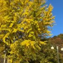 개삼터청기와카페 이미지