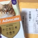 맥동물병원 이미지