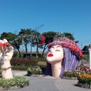 아진축산 이미지