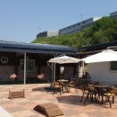 도그피아 애견 훈련 학교 이미지