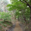 행정사 사무소 래인 이미지