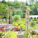 텃밭가꾸기 이미지