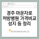 경주 수약국 | 경주 마운자로 처방병원·가격비교·성지 최저가 약국까지