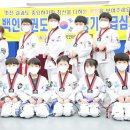 용인대석사백인태권도장 이미지