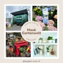 페페로미아 | 근교 오버우어젤 Mauk Gartenwelt | 페페로미아, 하트 아이비(Ceropegia woodii), 다육식물, 화이트...