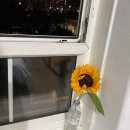 꽃을든남자I