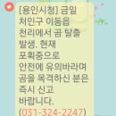 동원농장 2 이미지