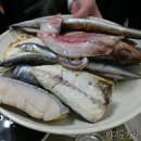 진양관광주 이미지