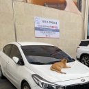 중흥현대자동차공업사 이미지