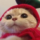 평범한날 행복한맛 | 따뜻해지기 전의 평범한 하루들, 사랄라 3월 일상✨