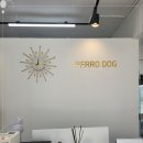 빼로독 강아지분양 의정부본점 | 의정부강아지분양 빼로독 강아지분양 의정부본점 방문 안내