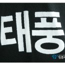 태풍합기도 이미지