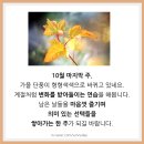 풍성문구