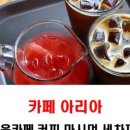 아리아세차 이미지