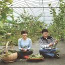 [부지런] SNS 마케팅 이미지