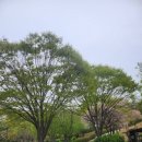 봉화산로45길 이미지