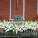 (주)솜씨 이미지