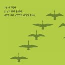 김규정 | [후기] '간질 간질'한 느낌이 닿았던 순간은 ?