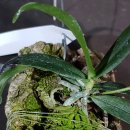 원희농장 이미지