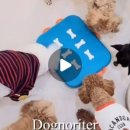 도그노리터 이미지