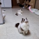 엘름트리 캐터리 이미지