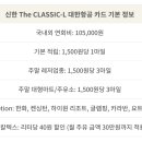 동산항공여행사 이미지