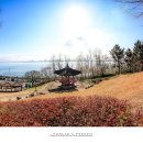 포항환호해상공원 티스토리