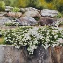 어반스케치 미술산책 이미지