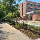 효자초등학교 이미지