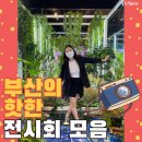 부산수퍼 이미지