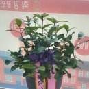 최강공인중개사사무소 이미지