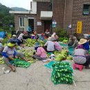 원문농장 이미지